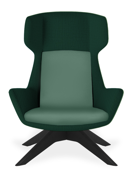 Aquila High Back turtle armchair for office